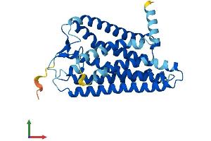 AlphaFold protein structure predicition of Human Recombinant OR5W2 Protein, UniprotID Q8NH69 (OR5W2 Protein (AA 1-310) (His tag))