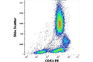 Flow cytometry surface staining pattern of human peripheral whole blood stained using anti-human CD53 (MEM-53) PE antibody (20 μL reagent / 100 μL of peripheral whole blood).