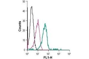 Cell surface detection of VPAC1 in live intact human THP-1 monocytic leukemia cells: (black line) Cells. (VIPR1 antibody  (Extracellular) (FITC))