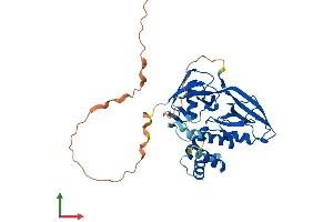 AlphaFold protein structure predicition of Mouse Recombinant Gipc1 Protein, UniprotID Q9Z0G0
