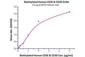 Immobilized OKT3 mAb at 5 μg/mL (100 μL/well) can bind Biotinylated Human CD3E & CD3D (Cat# CDD-H82W0 ) with a linear range of 0. (CD3D & CD3E (AA 23-126) (Active) protein (His tag,Fc Tag,DYKDDDDK Tag,Biotin))