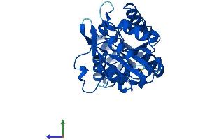 AlphaFold protein structure predicition of Human Recombinant LHPP Protein, UniprotID Q9H008