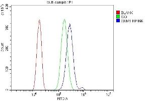 Flow Cytometry analysis of Neuro-2a cells using anti-mGluR1/GRM1 antibody (ABIN7600912). (Metabotropic Glutamate Receptor 1 antibody  (AA 25-466))