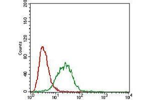 Flow cytometric analysis of A549 cells using CAV2 mouse mAb (green) and negative control (red). (Caveolin 2 antibody  (AA 1-86))