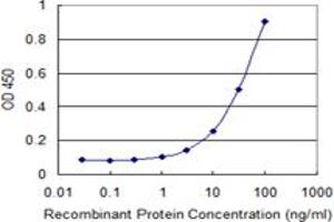 Detection limit for recombinant GST tagged SCGB1A1 is 1 ng/ml as a capture antibody. (SCGB1A1 antibody  (AA 22-91))
