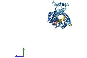 AlphaFold protein structure predicition of Mouse Recombinant Cers3 Protein, UniprotID Q1A3B0 (LASS3 Protein (AA 1-383) (His tag))
