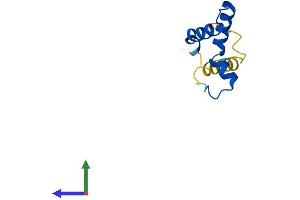 AlphaFold protein structure predicition of Human Recombinant DPY30 Protein, UniprotID Q9C005