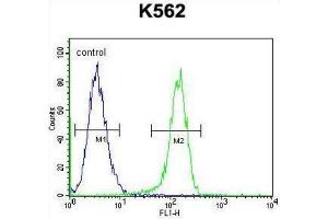 Flow Cytometry (FACS) image for anti-Myosin XIX (MYO19) antibody (ABIN2996064) (Myosin XIX antibody)