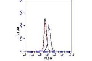Flow Cytometry (FACS) image for anti-Cadherin 5 (CDH5) (Extracellular Domain) antibody (FITC) (ABIN1105885) (Cadherin 5 antibody  (Extracellular Domain) (FITC))