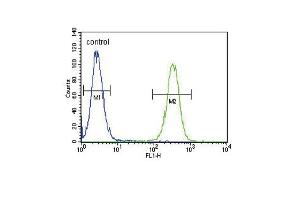 INHBA Antibody (N-term) (ABIN655078 and ABIN2844710) flow cytometric analysis of CEM cells (right histogram) compared to a negative control cell (left histogram).