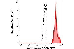 Separation of murine CD86 positive myeloid cells (red-filled) from CD86 negative lymphoid cells (black-dashed) in flow cytometry analysis (surface staining) murine splenocyte suspension stained using anti-mouse CD86 (GL-1) FITC antibody (concentration in sample 0,33 μg/mL). (CD86 antibody  (FITC))