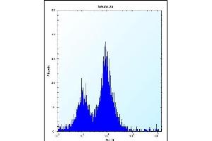 PEX14 Antibody (Center) (ABIN656491 and ABIN2845768) flow cytometric analysis of Neuro-2a cells (right histogram) compared to a negative control cell (left histogram). (PEX14 antibody  (AA 121-150))