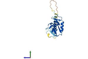 AlphaFold protein structure predicition of Mouse Recombinant Klrd1 Protein, UniprotID O54707 (CD94 Protein (AA 1-179) (His tag))