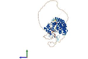 AlphaFold protein structure predicition of Human Recombinant TBC1D10A Protein, UniprotID Q9BXI6