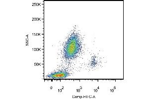 Surface staining of human peripheral blood leukocytes using anti-human CD14 (CD14 antibody  (Biotin))