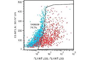Flow cytometry detection of DDIT4L in DDIT4L-transfected Hek293 cells using the mouse monoclonal antibody DDIT-03 PE. (DDIT4L antibody  (AA 2-98) (PE))