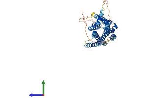 AlphaFold protein structure predicition of Human Recombinant GRPR Protein, UniprotID P30550