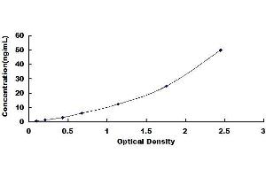 Typical standard curve (EXT1 ELISA Kit)
