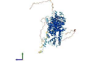 AlphaFold protein structure predicition of Mouse Recombinant Strip2 Protein, UniprotID Q8C9H6 (STRIP2 Protein (AA 1-844) (His tag))