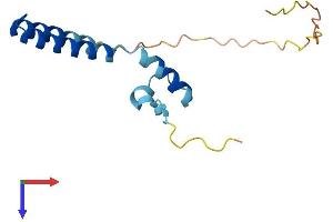 AlphaFold protein structure predicition of Mouse Recombinant Fam216b Protein, UniprotID Q8CC14