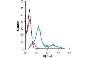 Flow Cytometry (FACS) image for anti-Solute Carrier Family 16, Member 1 (Monocarboxylic Acid Transporter 1) (SLC16A1) (AA 403-415), (Extracellular) antibody (FITC) (ABIN7043677)