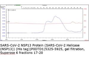 Size-exclusion chromatography-High Pressure Liquid Chromatography (SEC-HPLC) image for SARS-CoV-2 Helicase (NSP13) (HEL) protein (His tag) (ABIN6952702) (SARS-CoV-2 NSP13 Protein (His tag))