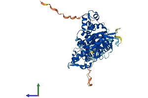 Protein Structure (PS) image for Deoxynucleotidyltransferase, terminal (DNTT) (AA 1-509) protein (His tag) (ABIN7544205)