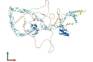 Protein Structure (PS) image for Nuclear Transcription Factor, X-Box Binding 1 (NFX1) (AA 1-1120) protein (His tag) (ABIN7554716)