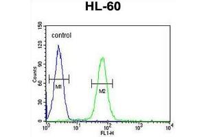 Flow Cytometry (FACS) image for anti-Immunoglobulin Heavy Constant gamma 1 (G1m Marker) (IGHG1) (AA 154-180), (Middle Region) antibody (ABIN952862)