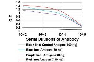 ELISA analysis of PLA2G12A monoclonal antibody, clone 7C7C9  at 1:10000 dilution. (PLA2G12A antibody  (AA 21-189))