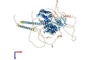 AlphaFold protein structure predicition of Mouse Recombinant Rasal3 Protein, UniprotID Q8C2K5