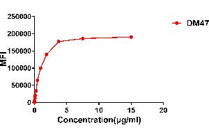 Flow cytometry data of serially titrated Rabbit anti- monoclonal antibody (clone: DM47) on Expi 293 cell line transfected with human . (Recombinant ACE2 antibody  (AA 18-740))