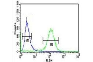 RAB27B antibody flow cytometric analysis of NCI-H460 cells (green) compared to a negative control (blue). (RAB27B antibody  (AA 186-215))