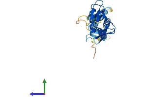 Protein Structure (PS) image for RPA Interacting Protein (RPAIN) (AA 1-219) protein (His tag) (ABIN7560697)