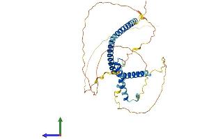 AlphaFold protein structure predicition of Mouse Recombinant Hexim1 Protein, UniprotID Q8R409 (HEXIM1 Protein (AA 1-356) (His tag))