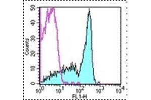 Image no. 1 for anti-CD45RB (CD45RB) antibody (FITC) (ABIN473736) (CD45RB antibody  (FITC))