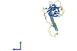 AlphaFold protein structure predicition of Mouse Recombinant Tnfsf10 Protein, UniprotID P50592 (TRAIL Protein (AA 1-291) (His tag))