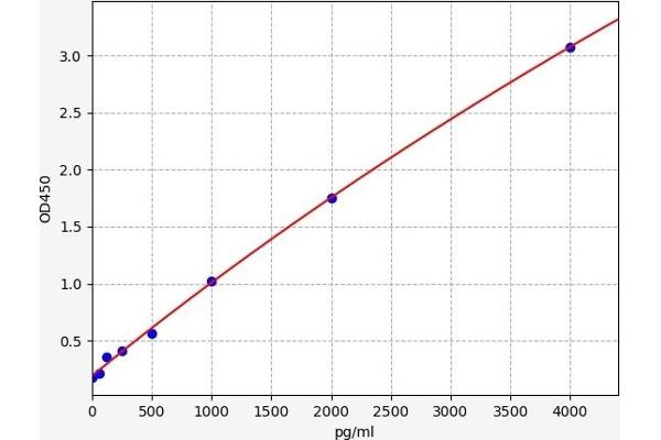 Orosomucoid 2 ELISA Kit