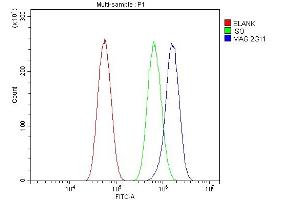 Flow Cytometry analysis of U87 cells using anti-MAG antibody (ABIN7601399). (MAG antibody  (AA 34-605))