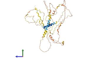 AlphaFold protein structure predicition of Mouse Recombinant Fbrs Protein, UniprotID Q8R089