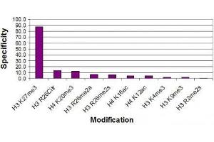 Histone H3 trimethyl Lys27 antibody specificity tested by peptide array analysis. (Histone 3 antibody  (H3K27me3))