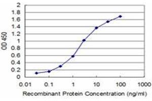 Detection limit for recombinant GST tagged BOLL is approximately 0. (BOLL antibody  (AA 185-283))