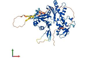 Protein Structure (PS) image for Actin-Like 7A (ACTL7A) (AA 1-440) protein (His tag) (ABIN7561782)