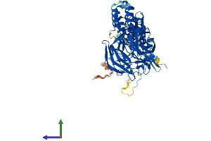 AlphaFold protein structure predicition of Human Recombinant KEAP1 Protein, UniprotID Q14145 (KEAP1 Protein (AA 1-624) (His tag))