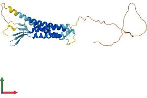 AlphaFold protein structure predicition of Mouse Recombinant Cldn18 Protein, UniprotID P56857 (Claudin 18 Protein (CLDN18) (AA 1-264) (His tag))