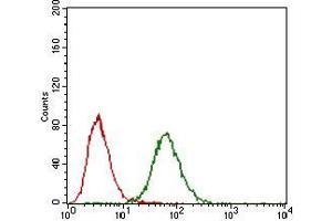 Flow cytometric analysis of NIH/3T3 cells using FGF4 mouse mAb (green) and negative control (red). (FGF4 antibody  (AA 62-123))