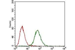 Flow cytometric analysis of NIH/3T3 cells using FGF4 mouse mAb (green) and negative control (red).