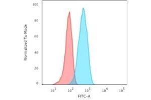 Flow Cytometric Analysis of Raji cells. (CD19 antibody)
