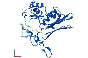 AlphaFold protein structure predicition of Human Recombinant GGTLC1 Protein, UniprotID Q9BX51 (GGTLC1 Protein (AA 1-225) (His tag))