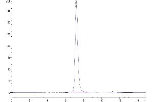 The purity of Biotinylated Human Serum Albumin is greater than 95 % as determined by SEC-HPLC. (Albumin Protein (ALB) (AA 25-609) (His-Avi Tag,Biotin))